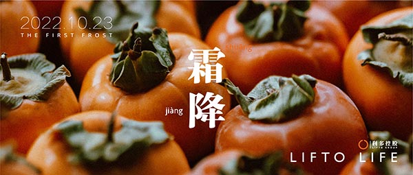 霜降 | 白霜红柿 静候冬来