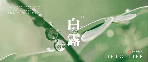 白露 | 叶凝白露 万物温良